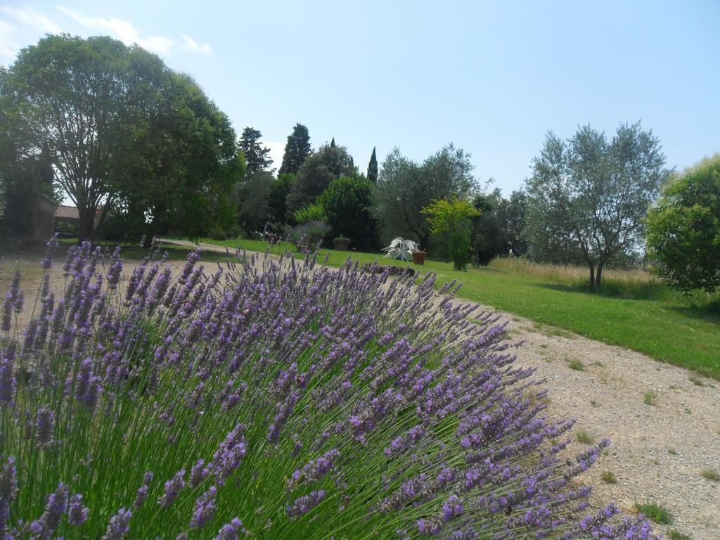 Fullino Nero Rta - Residenza Turistico Alberghiera Siena Exteriér fotografie