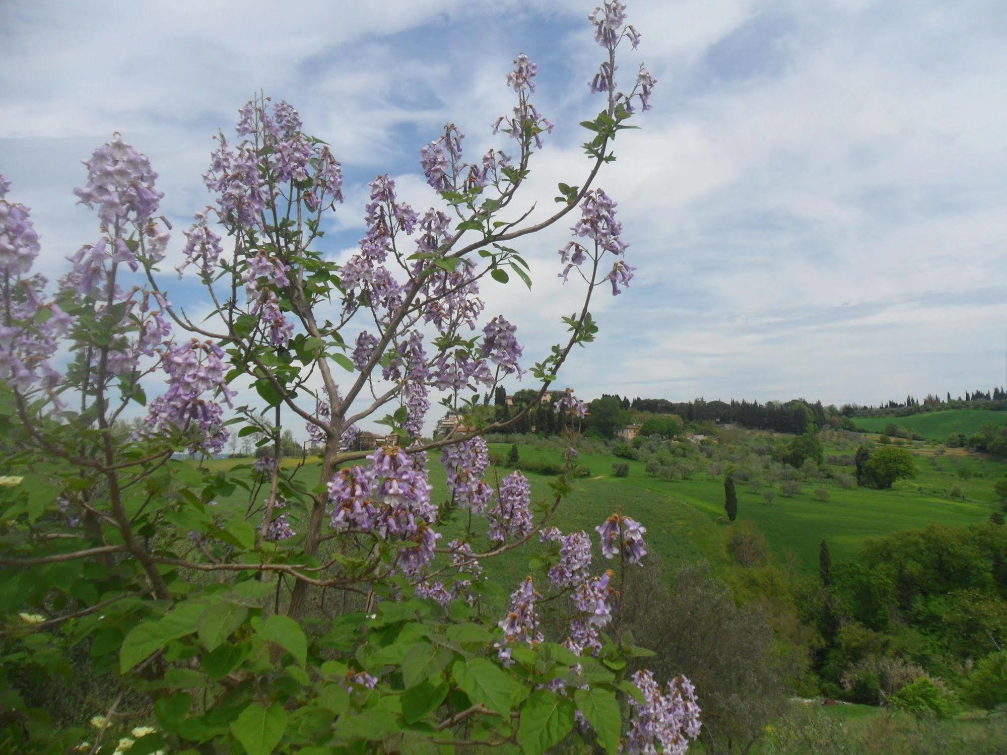 Fullino Nero Rta - Residenza Turistico Alberghiera Siena Exteriér fotografie